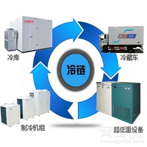 上海生物制品 创新驱动与产业升级