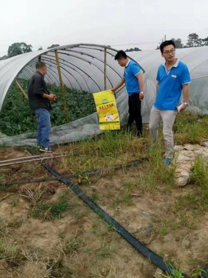 鸿源有机肥虾稻专用肥的产品使用